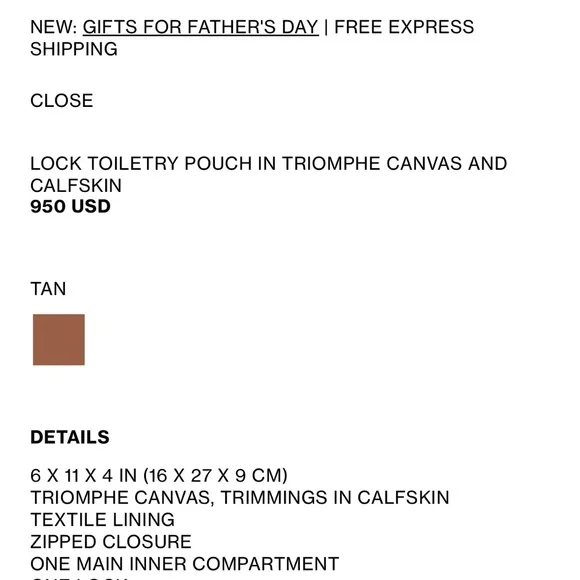 Celine Triomphe Canvas and Calfskin Toiletry Bag - Picture 11 of 15